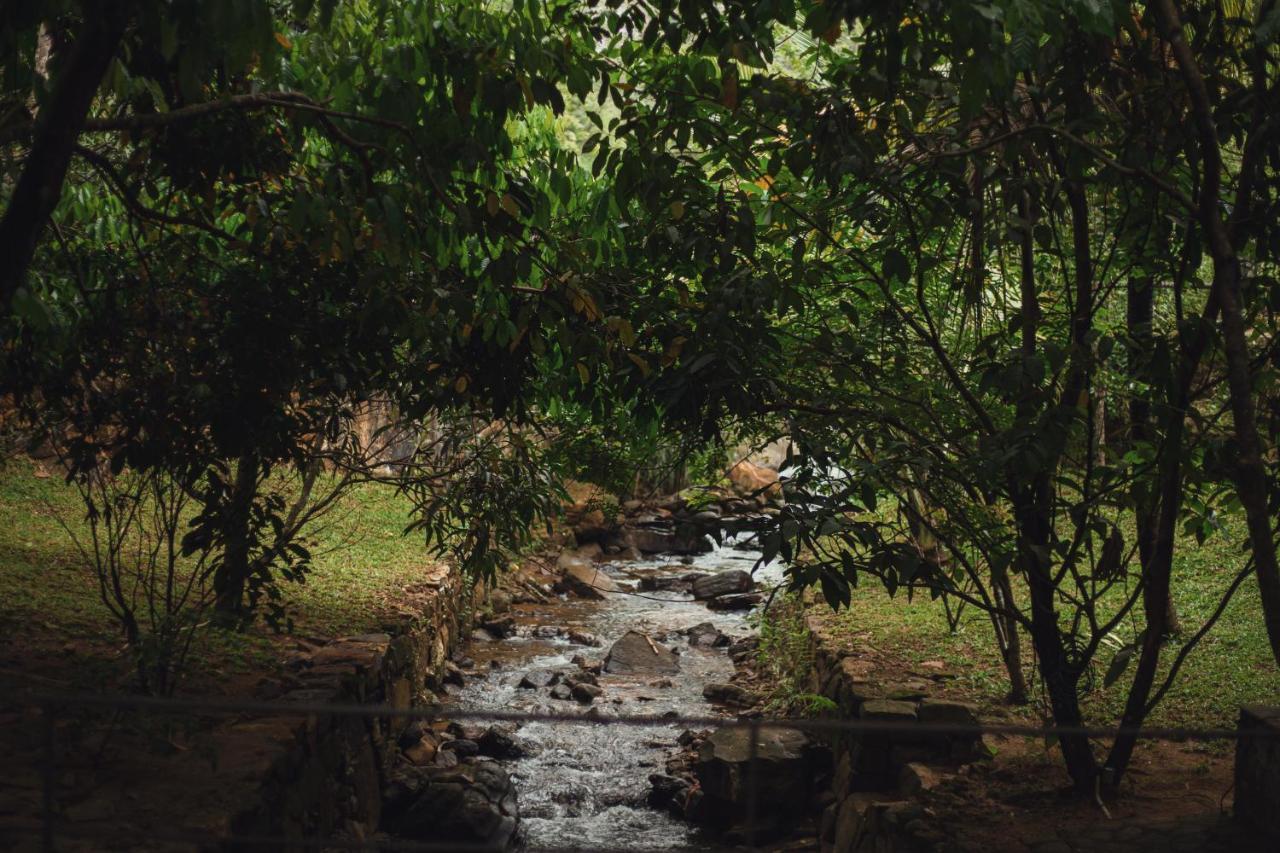 Sati Villa Kandy Sri Lanka Bagian luar foto